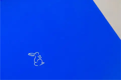 Habiebie Campaign — cover
